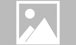 海贼王罗宾漫画,揭开历史之迷的冒险之旅